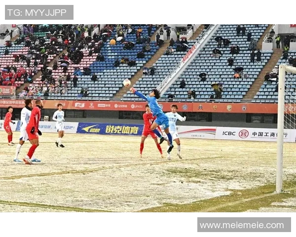 足球明星签名的市场价值揭秘及其背后的经济影响分析